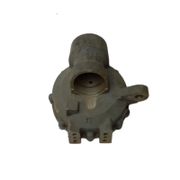 Корпус поворотного кулака лівий DW244AHT