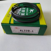 Кільця поршневі 4L22BT