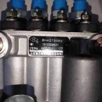 фото Насос паливний ТНВД 4L23BT