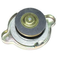 Кришка радіатора D60