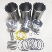 Ремкомплект двигуна поршнева TY395